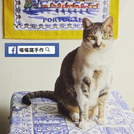 青年局輔導品牌「喵喵窩手作行」由具有美術背景的品牌主理人郭雋瑄成立，致力透過嘗試異材質創作，實現永續與實用兼具的作品。