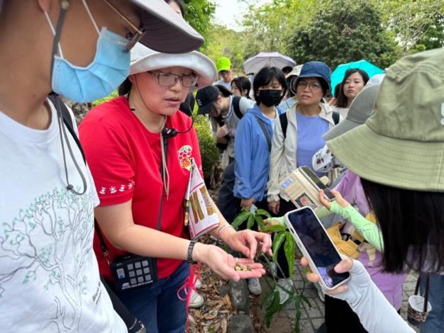 圖說1：高市青年局「山海探險隊」帶領青年走訪旗山南勝社區，在社區植名秘書陳春月（紅衣者）的解說下`認識荔枝種植的環境與果實生長樣貌。