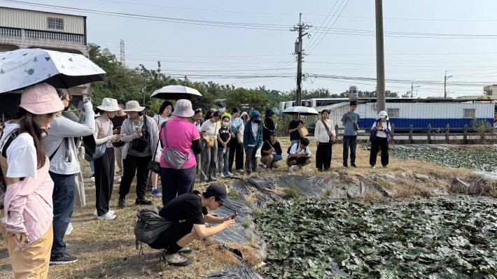 圖說四： 青年走進菱角田間，聆聽農民解說種植方式，近距離觀察菱角生態。