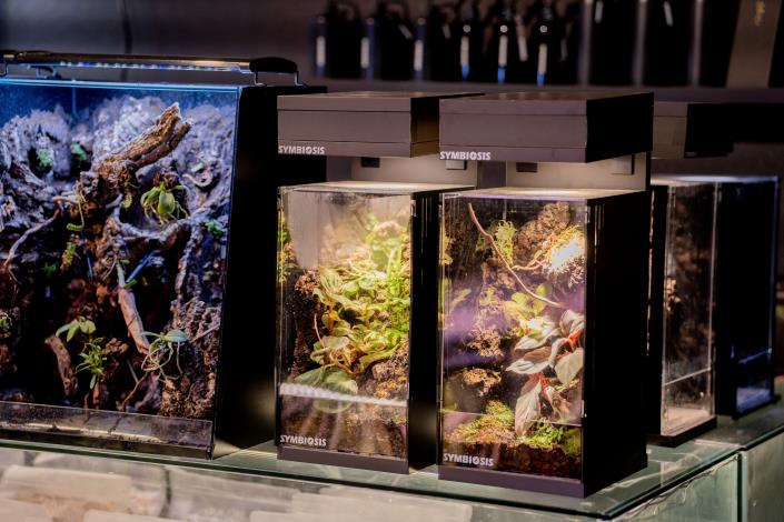 圖5. 「共生制所」將品牌定位為「精品型植物店」，盡可能透過新潮的設計或是陳列方式，打破大家過去對於種植物的傳統印象，好建立新的文化層面。