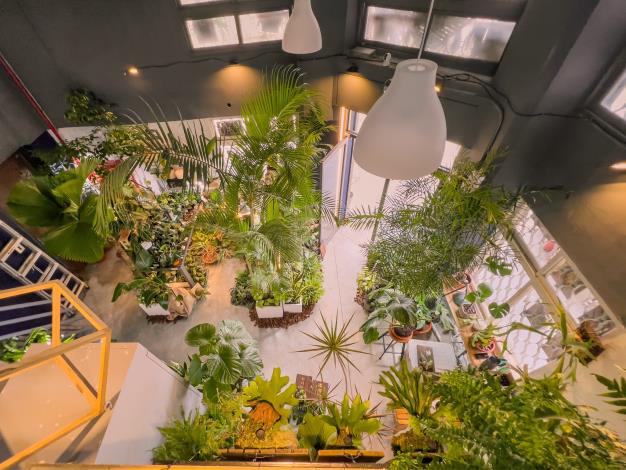 7.Pinway一樓三角窗引進鹿角蕨專門品牌「森聚場」，打造為綠意盎然的植物特色空間。