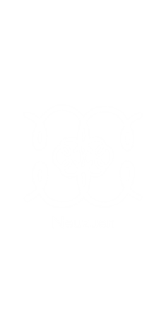 Neuzue